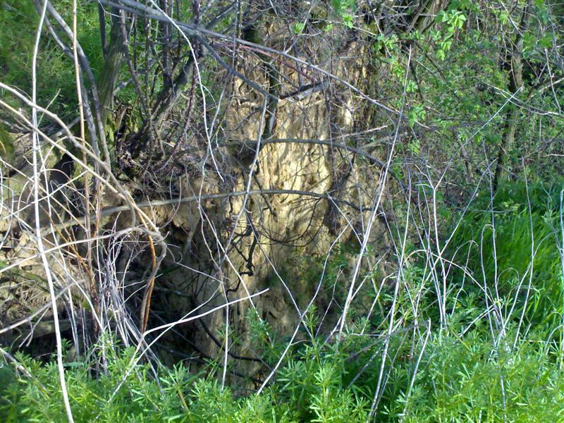 200704091703 .jpg